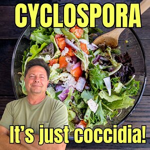 Cyclospora: You Already Know This Parasite