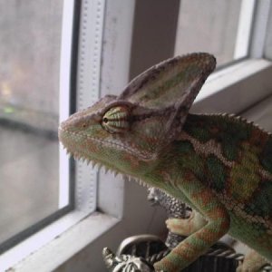 Photo 0022