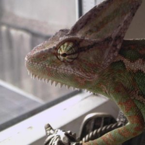 Photo 0024