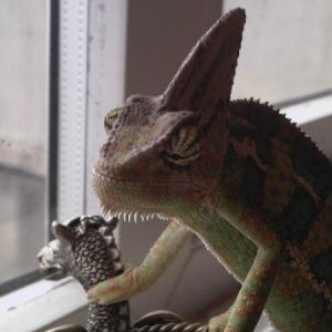 Photo 0026