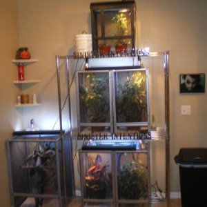 Whole set up