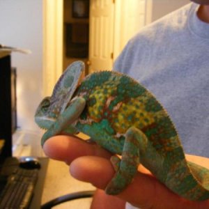Doesnt he look excited !!!