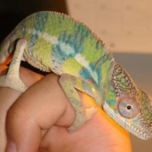1st night with me! 4 mo. old