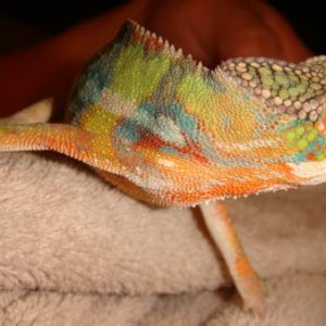 DSC04866