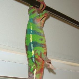 hangin out