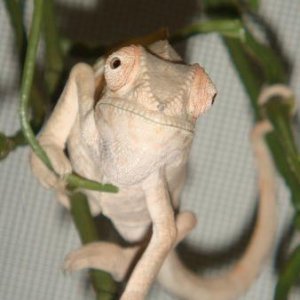 hello!