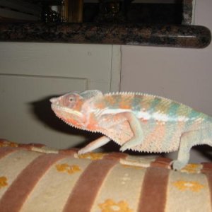 DSC03299