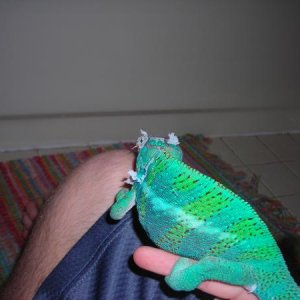Picture 024