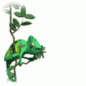 Animated Chameleon