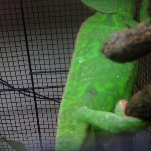 Picture 017