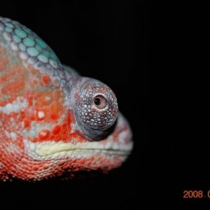 eye002