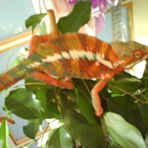 DSC00010