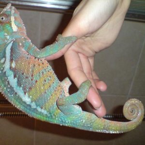 DSC00122