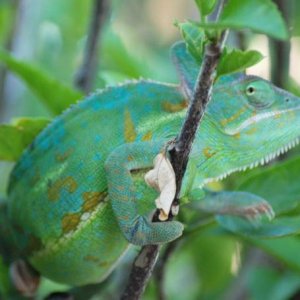 Camille getting some color at 6 1/2 months old.