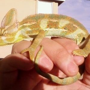 at 6 months old