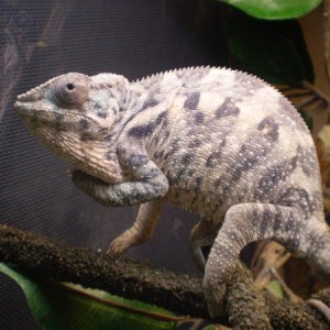 Sunshine-WC Ambilobe