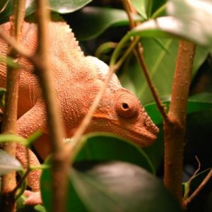 smallDSC 1323