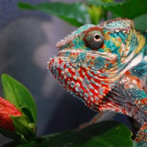 smallDSC 1169