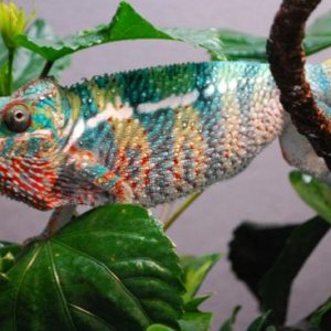 smallDSC 1180