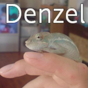 DSC00113