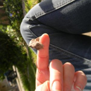 He's so little :)