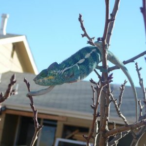 Outside getting some sun
