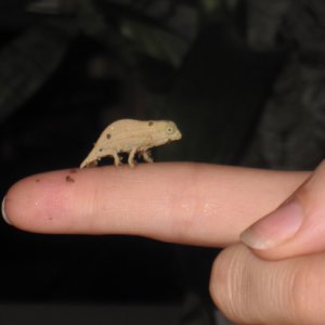 Adorable!