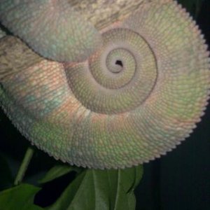 IMAG0004