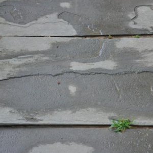 DSC 1150