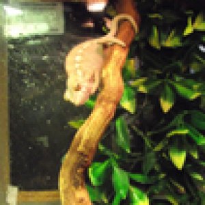 DSCF3288