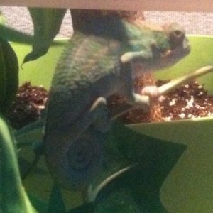 His absolute favorite place to sleep way at the bottom