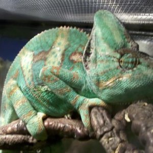IMG 20110611 103723
