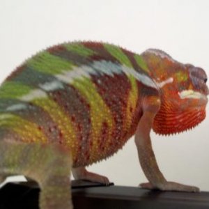 2011 06 20 15 38 19 111