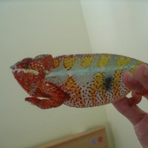 This is him when he first came.