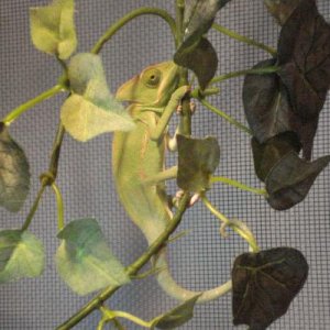 DSC01019