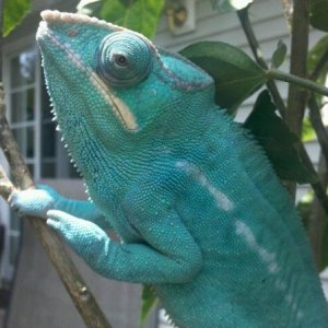 IMG 20110530 121723
