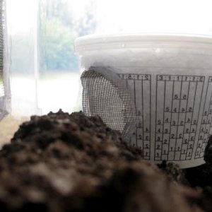 Humid hide in the cage with oak bark, big chunks and a couple inches of substrate including oak bark broken up with a hammer and a couple handfuls of