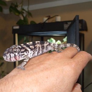 Lilly 7/27/2011
