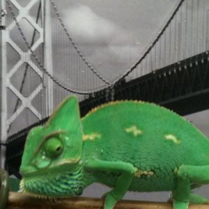 Walk about under the Bay Bridge in S.F.