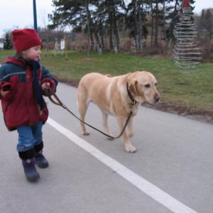 codyyyyyy!!! he is the best dog ever, when i was younge i would ride him like a dog and use him like a boat, he was my life guard but as i grew i didn