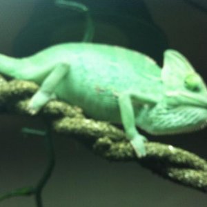 photo (2)