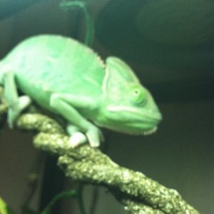 photo (1)