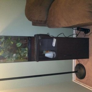 Set up