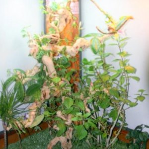 IMG 0934