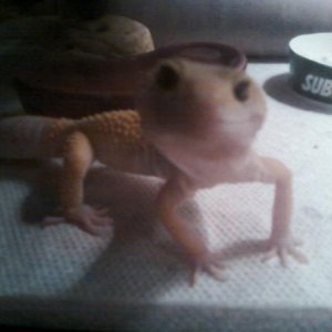 yoshi smiling for his mama xP
