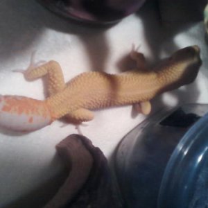 my boy :D
