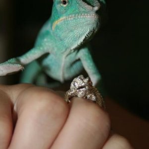 so curious