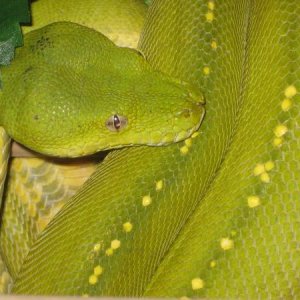 IMG 3510