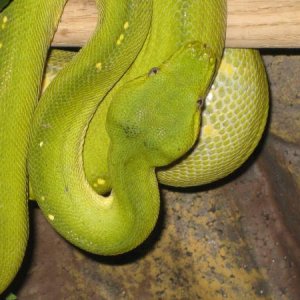 IMG 3504