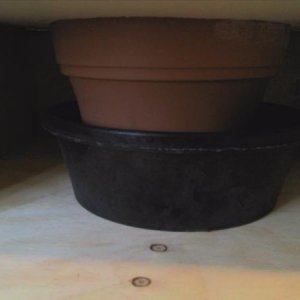 The drain system